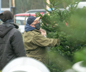 Paweł Kowal. Pojedynek na choinki