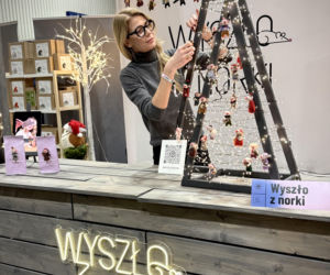 Filcowe myszki Joanny. Marka Wyszło z norki