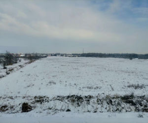 Kujawsko-pomorskie bez prądu. Gałęzie łamały się pod ciężarem śniegu i zrywały linie energetyczne 