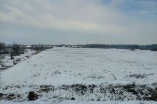 Kujawsko-pomorskie bez prądu. Gałęzie łamały się pod ciężarem śniegu i zrywały linie energetyczne 