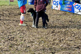 Bartłomiej Sobecki mistrzem świata WSA