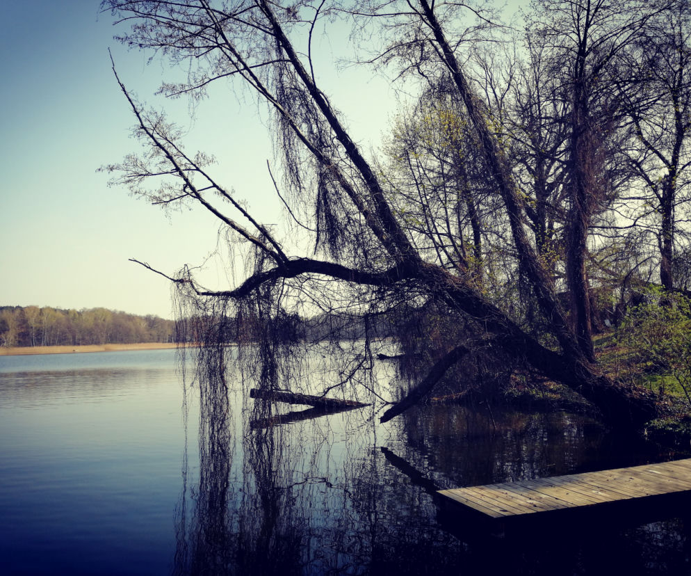 Wyspa Edwarda [ZDJĘCIE DNIA]