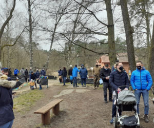 Drzewka i rekreacja na Barbarce