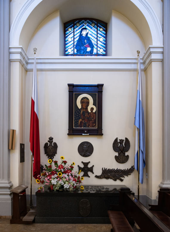 Błękitna Armia Hallera