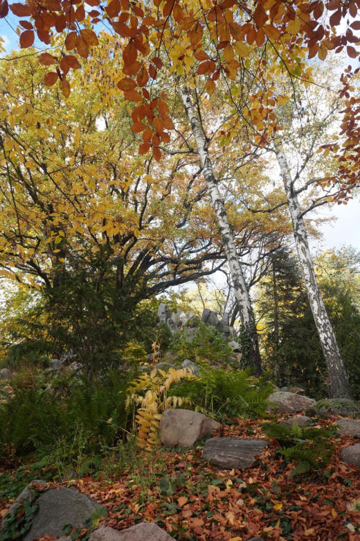 Park Wilsona