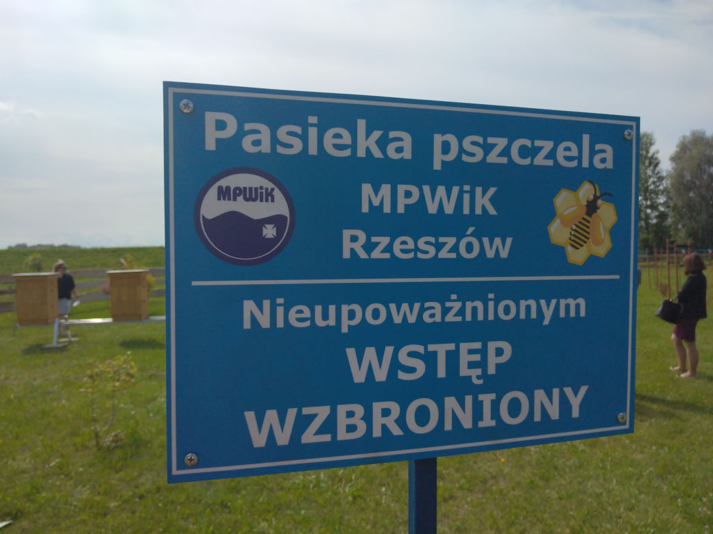 Pół miliona pszczół zamieszkało na terenie ujęcia wody MPWiK w Zwięczycy