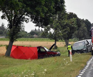 Śmiertelne wypadki na drogach. Wakacje 2019