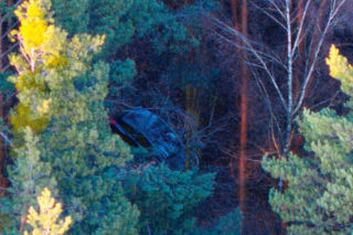 Ogromne siły policji pod Wrocławiem. Szukają zaginionej aktorki. Znaleziono rozbite auto!