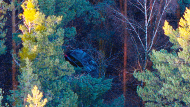 Ogromne siły policji pod Wrocławiem. Szukają zaginionej aktorki. Znaleziono rozbite auto!
