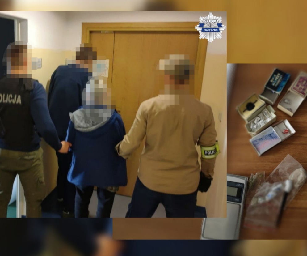 Zatrzymana w rękach policji