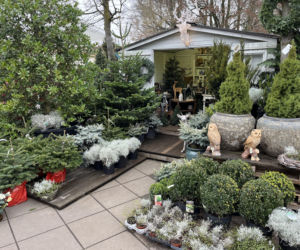 ESKA UBIERZE CI CHOINKĘ 2025