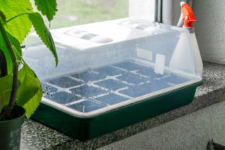 Miniszklarenka – twoja własna fabryka rozsady. Krok po kroku do sukcesu!