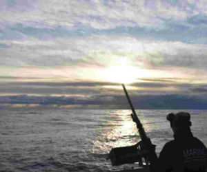 Manewry pk. Arctic Dolphin 26