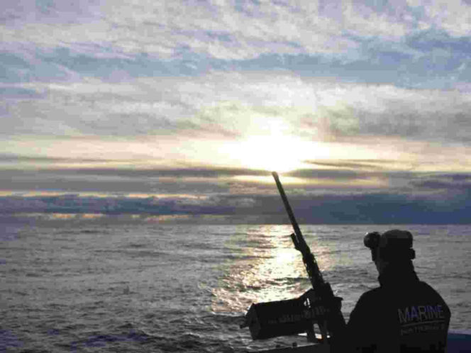 Manewry pk. "Arctic Dolphin 26"