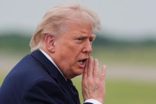 Ten bawół miał zginąć, ale wygląda jak Donald Trump! Teraz jest gwiazdą