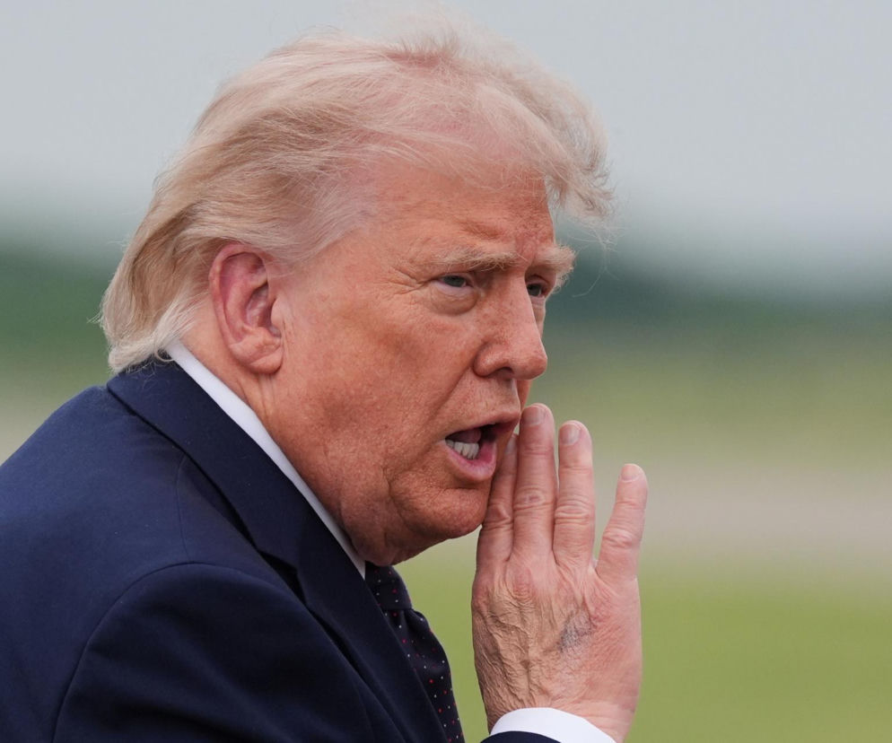 Bawół wygląda jak Donald Trump! To ocaliło mu życie