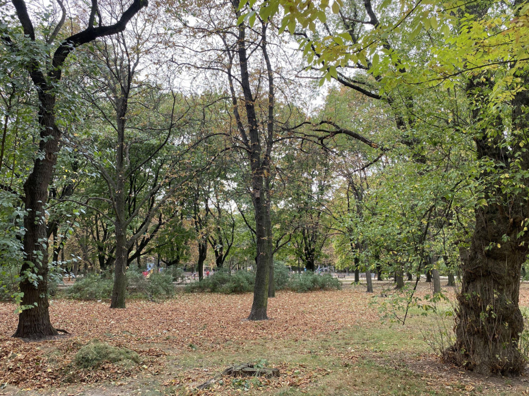 Jesień w parku Praskim