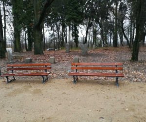 Nowy park w Szczecinie