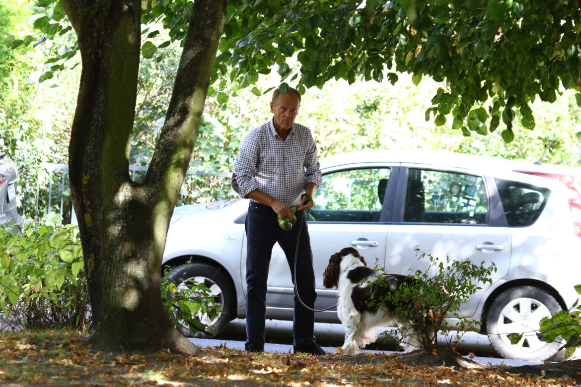 Tusk sprząta po psie