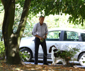 Tusk sprząta po psie