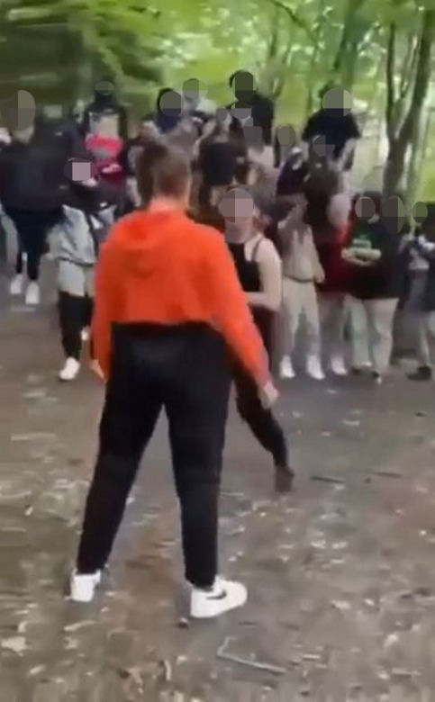 Brutalna bójka dwóch nastolatek w Gorlicach! Świadkowie jeszcze zagrzewali je do walki [ZDJĘCIA]