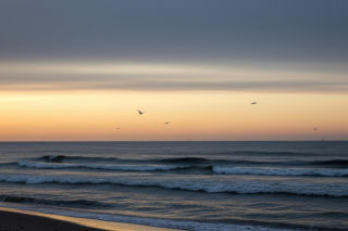Marta Kaczyńska pokazała Bałtyk. Co ukryły nastrojowe zdjęcia?
