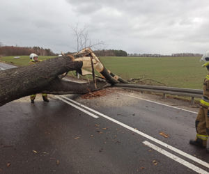 Wichura na Warmii i Mazurach. Tysiące interwencji strażaków [ZDJĘCIA]