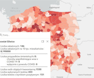 Koronawirus w województwie śląskim. Tak wygląda sytuacja w poszczególnych powiatach [RAPORT, 19 MARCA]