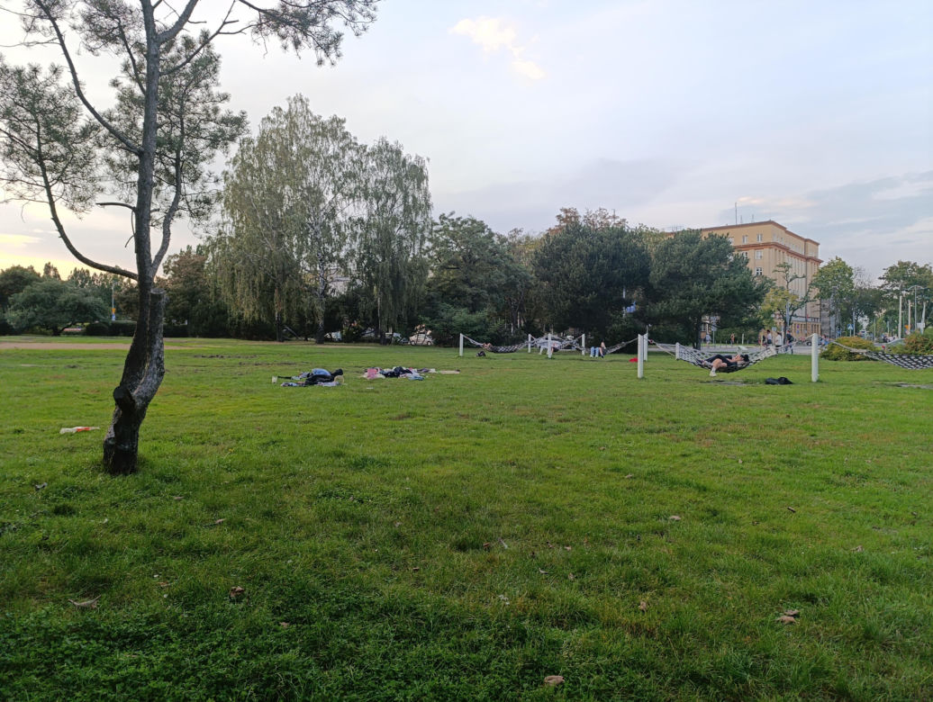 Śmieci i bezdomni w parku w centrum Gdyni
