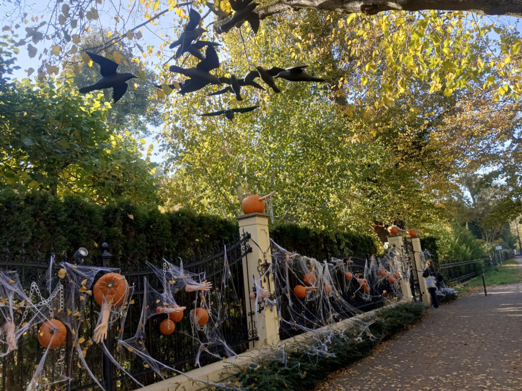 Willa na Jaśkowej Dolinie w Gdańsku znów straszy! Tegoroczny motyw Halloween budzi niepokój