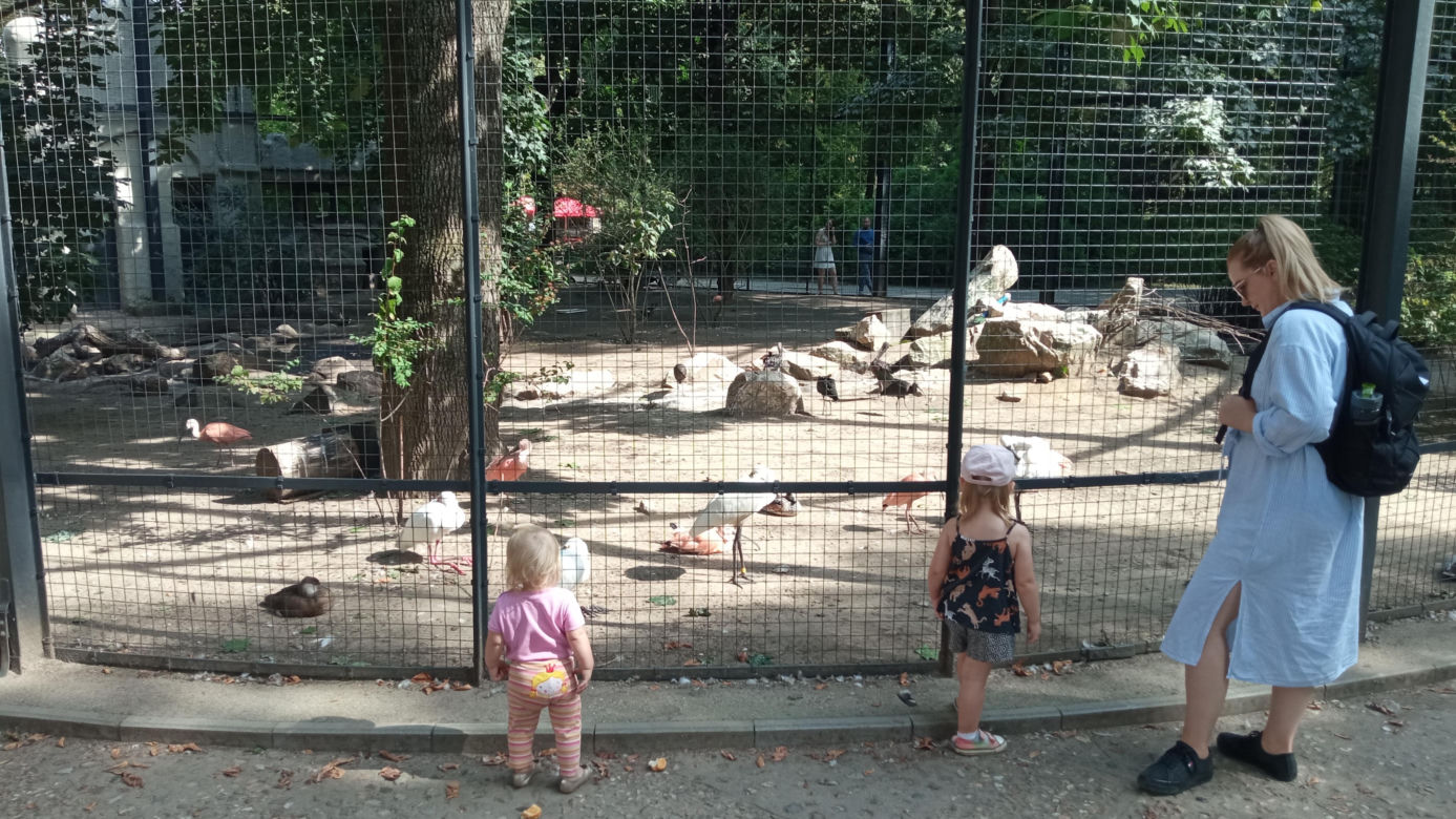 Stare ZOO w Poznaniu. Idealne miejsce na rodzinne spacery w sercu miasta 