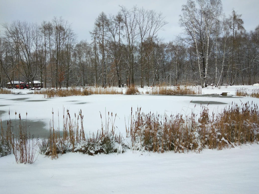 Śnieg zasypał Tarnów, teraz czas na mróz. Będzie PRZEŹLIWIE zimno