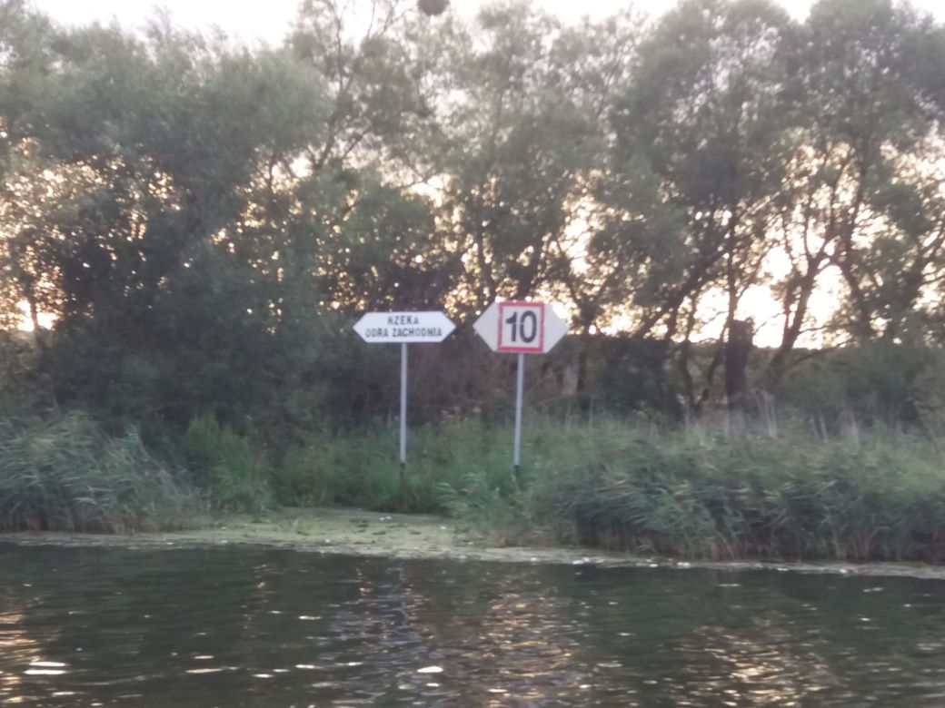 Katastrofa ekologiczna na Odrze