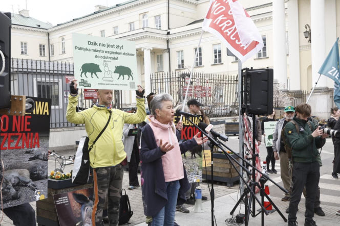 Warszawa. Protest w obronie dzików