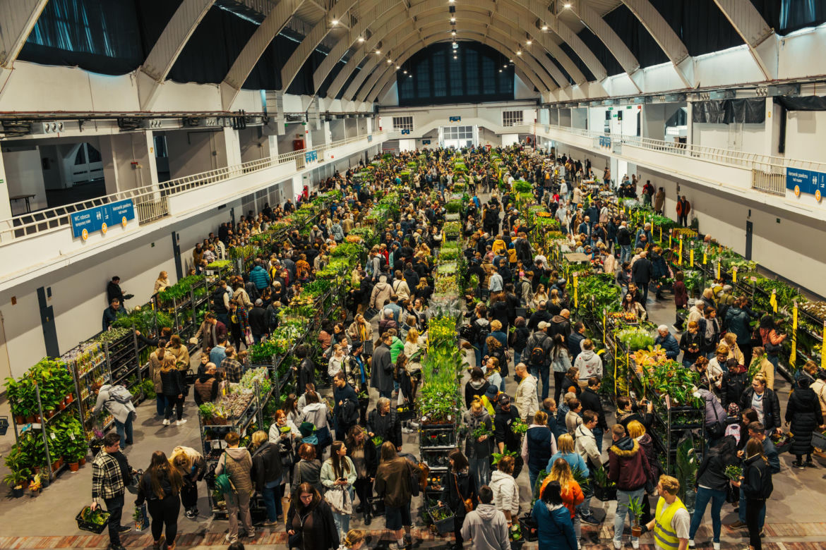 Wiosenna edycja Festiwalu Roślin