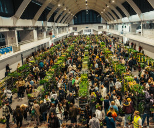 Wiosenna edycja Festiwalu Roślin
