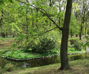 Park Miejski w Kaliszu 