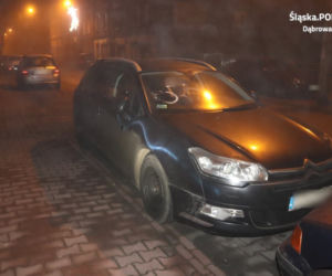 Dąbrowa Gornicza. Wandale zniszczyli elewację i samochody [ZDJĘCIA]