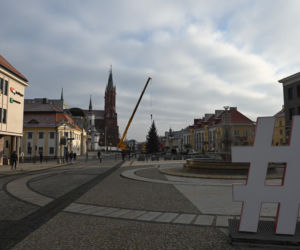 Choinka stanęła pod ratuszem. Niedługo rozbłysną tu świąteczne iluminacje [ZDJĘCIA]