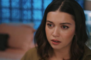 Złoty chłopak odc. 271