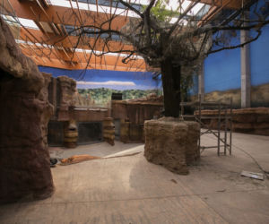 Afrykarium - prace wykończeniowe na wybiegach
