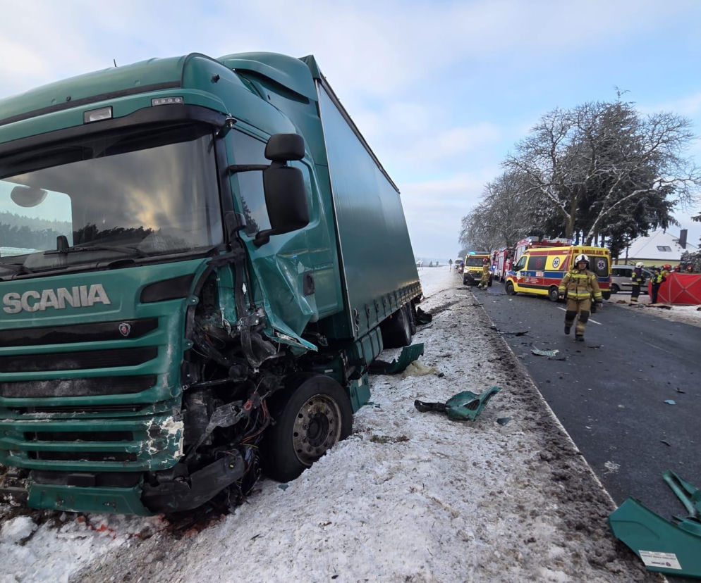 Tragedia w Wielkopolsce. 4-latka i jej matka nie żyją