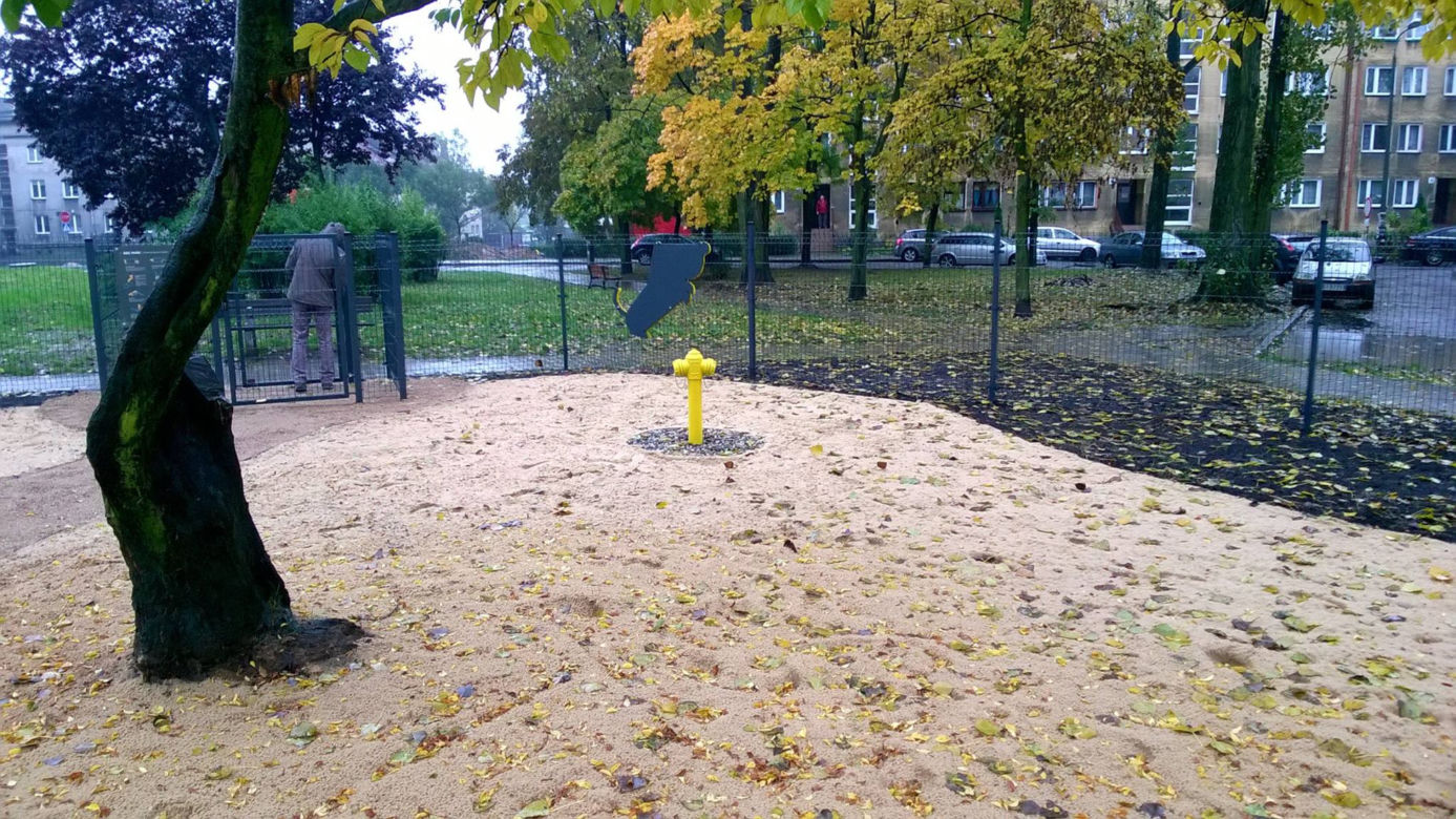 Dog Park 5
