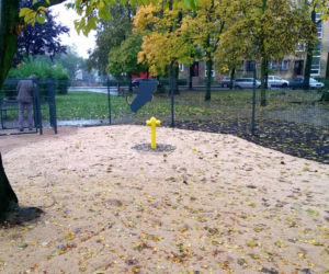 Dog Park 5