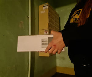Wrocławianin znalazł w mieszkaniu ogromnego ptasznika
