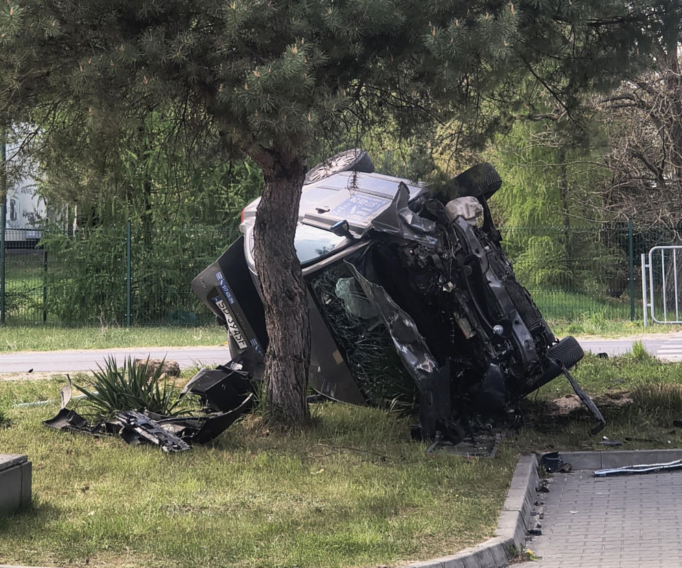 Potworna kraksa. Auto dachowało i zatrzymało się na drzewie