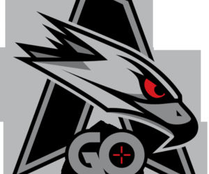 Polska Liga Esportowa