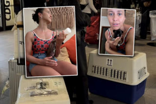 Serce się kraje! Gwiazda TVN uratowała poranionego psiaka i ściągnęła do Polski. Sam cukier!