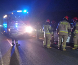 Poseł PiS uległ strasznemu wypadkowi! W jego auto uderzył łoś