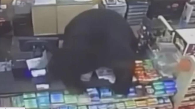 11-latek poszedł do sklepu. Musiał uciekać przed niedźwiedziem!